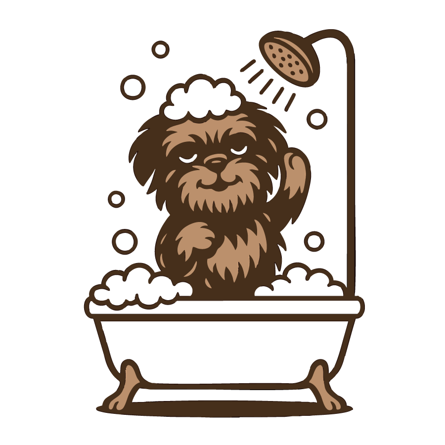 Wash 'n' Go